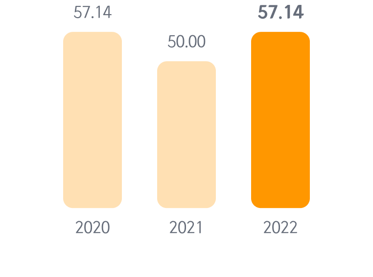 Independent director board composition ratio